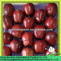 China Apfel huaniu